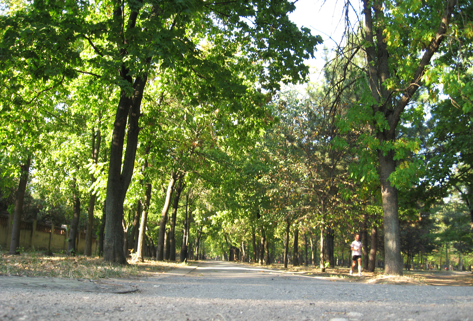 в парке Победа